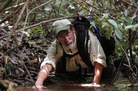 eed Noss, a University of Central Florida biology professor