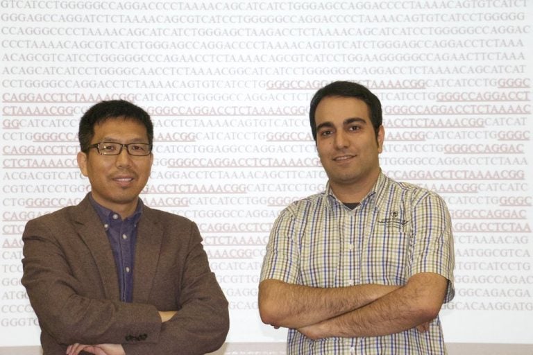 UCF associate professor Shaojie Zhang, left, and graduate student Ardalan Naseri developed technology to help cancer researchers zero in on specific genome sequences.