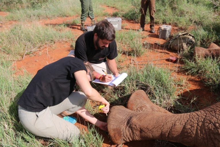 Biology student Matthew Rudolph writes down information about one of the elephants being tracked in Kenya.
