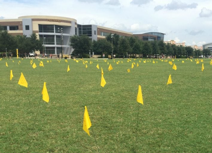 yellow flags planted all over grassy field at ucf