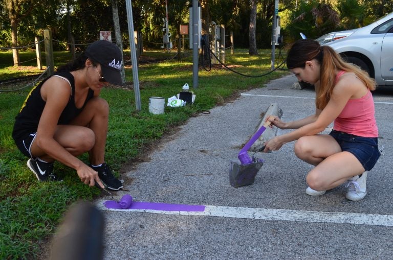 Volunteer UCF students Sydney Jalali and Gabrielle Leonard paint purple lines for Wounded Warrior parking spaces at the Central Florida Zoo & Botanical Gardens in Sanford.