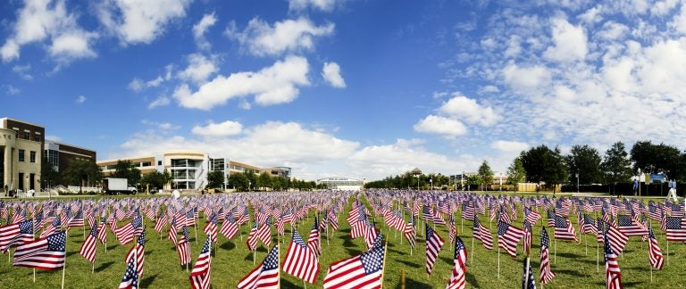 veterans day- american flags in ground