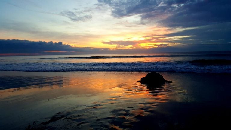 beautiful vivid beach sunset, Photo courtesy of UCF Marine Research Group