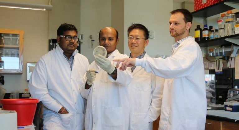 UCF Scientists: Gene Editing, Develop New Screening for Parkinson's