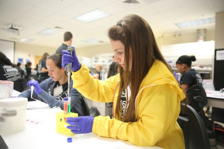 High school students from Central Florida learn of health care careers at UCF's Health Leaders Academy.