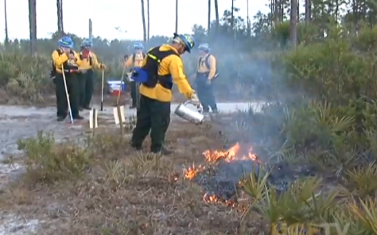 prescribed campus burn. ucf firefighters in uniform watching the burn