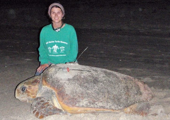 Important Foraging Hotspots for loggerhead Turtle Rookery Identified