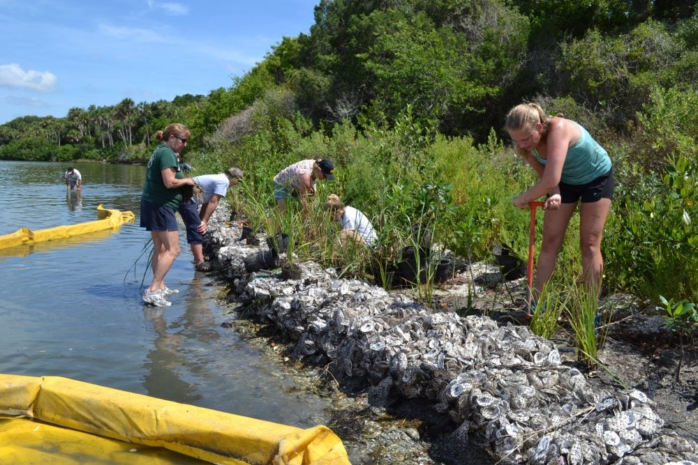 UCF Launches National Center:Big-Picture Solutions to Coastal Threats