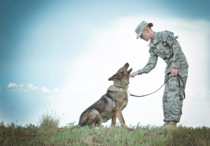 Ssg Amanda Payne shares a moment with Coli, her Military Working Dog.