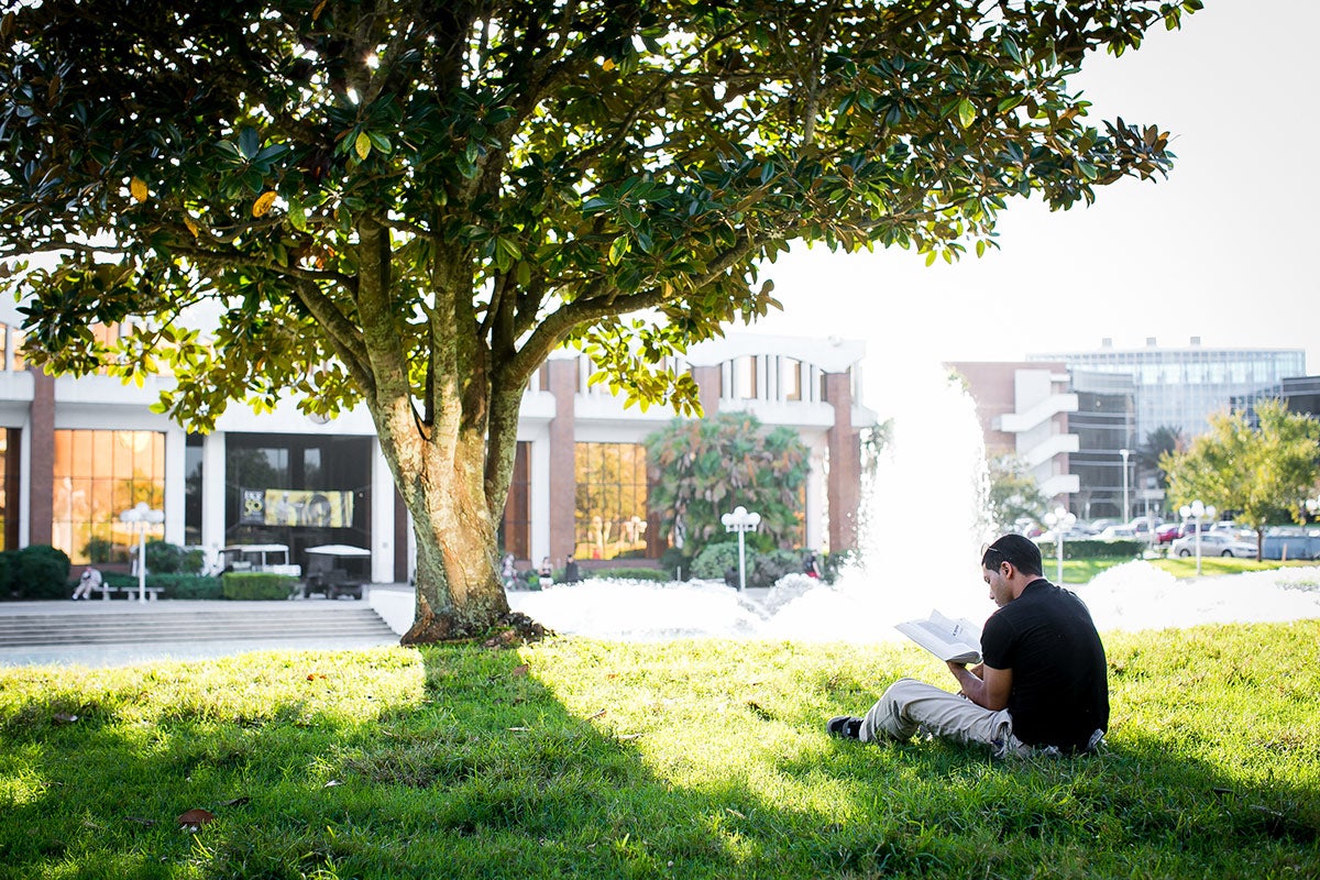 A student studies under the shade provided by a magnolia tree near the Reflecting Pond.
