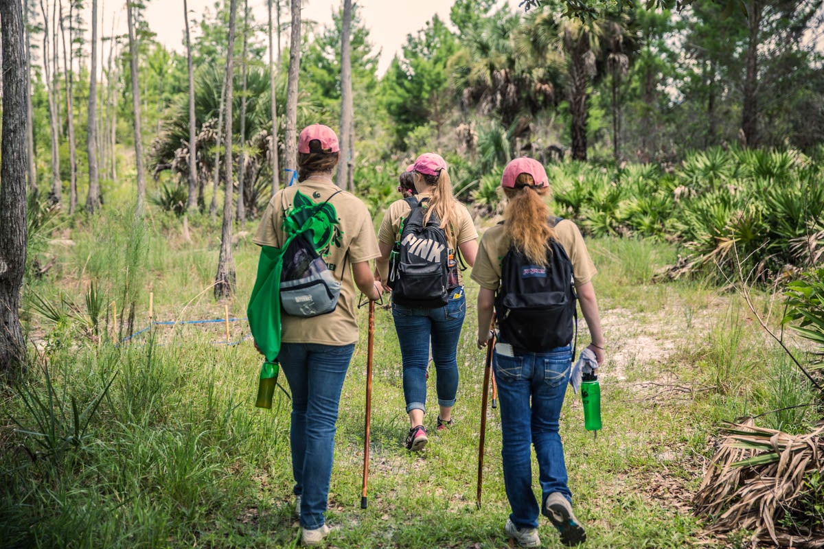 A group of students explore UCF's Arboretum during the biology track of the Summer Institute Camp.