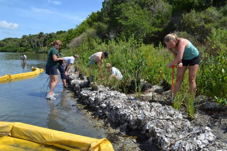 group of students working on edge of water