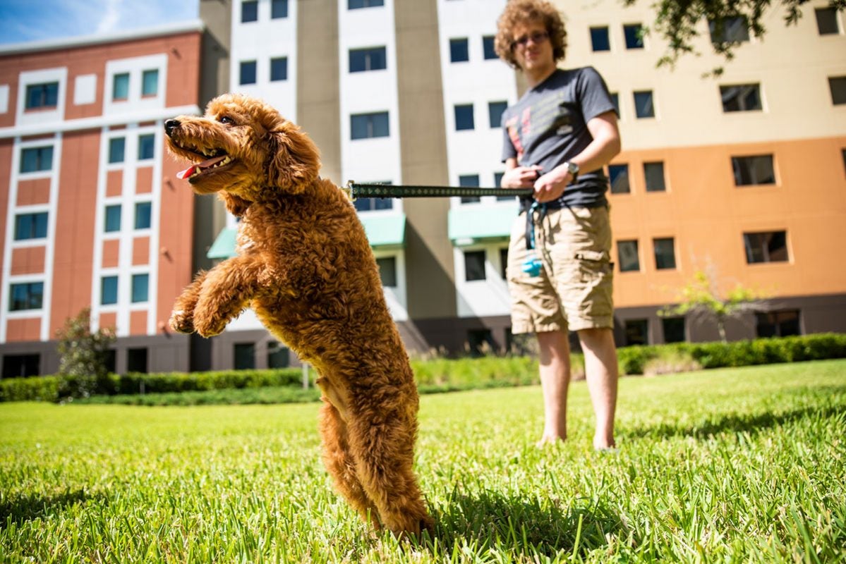 Photo of dog and UCF student in front of dorms
