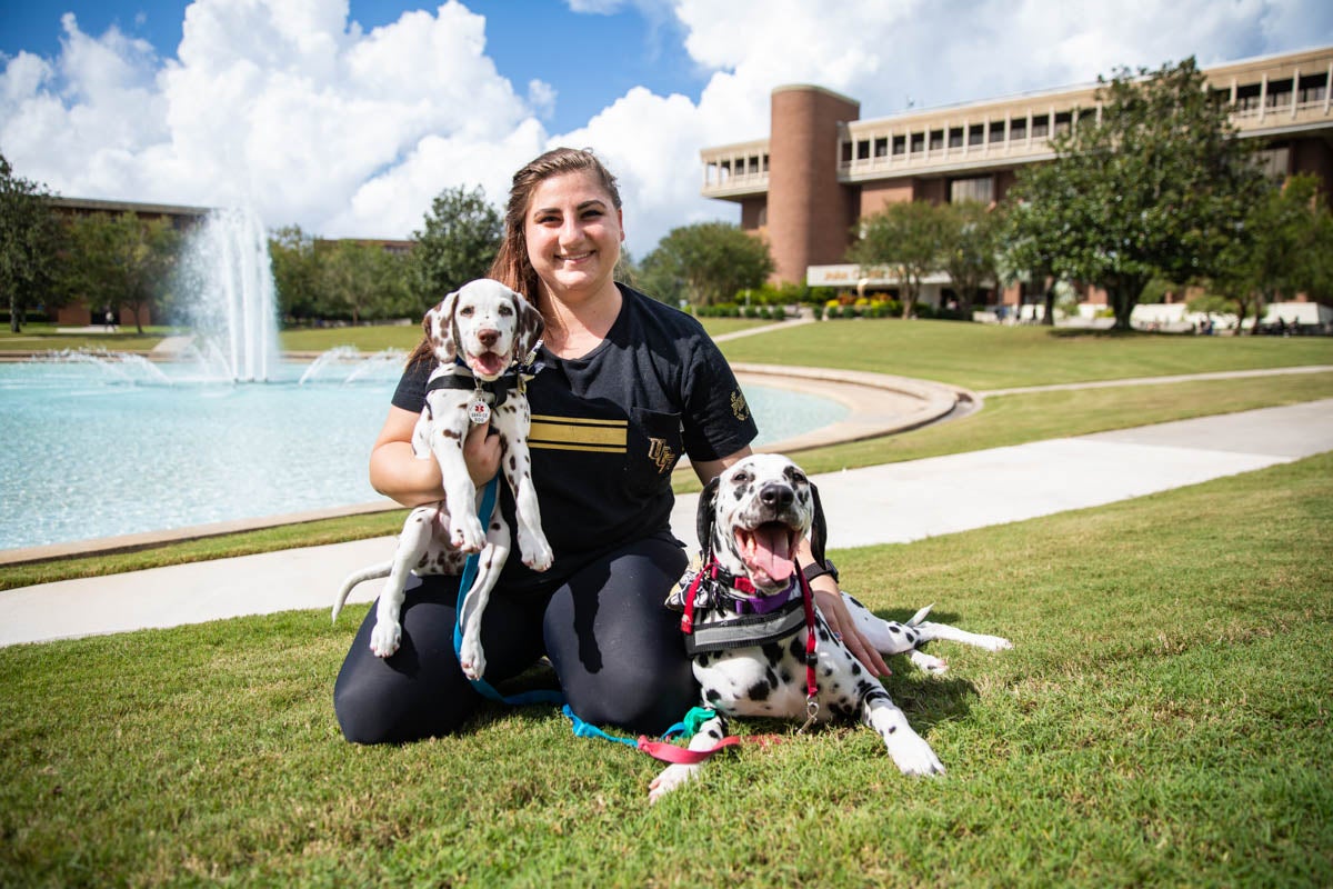 Master's student Casey Bruno '18 brings her service dog Paisley and new puppy Chevron to campus to help her new family member get use to being at UCF. (Photo by Nick Leyva '15)