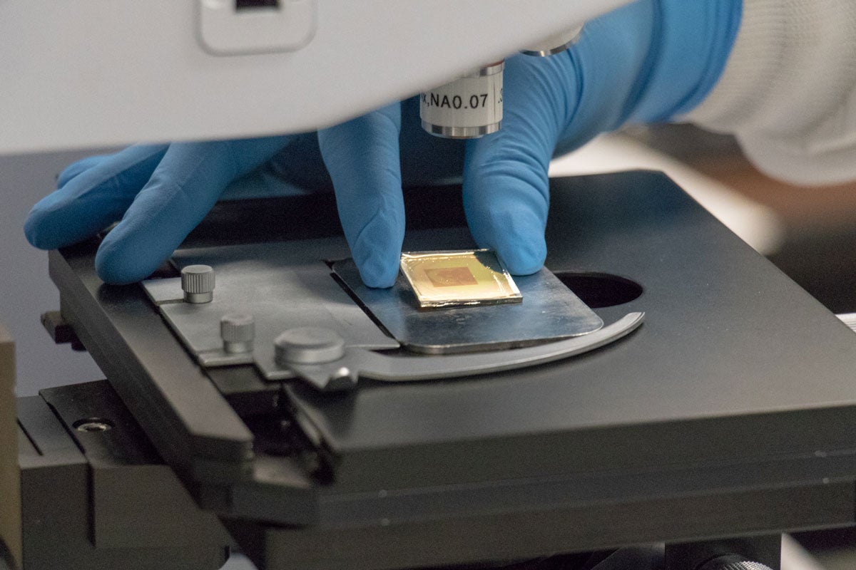 A hand wearing a blue glove positions a small square on a microscope