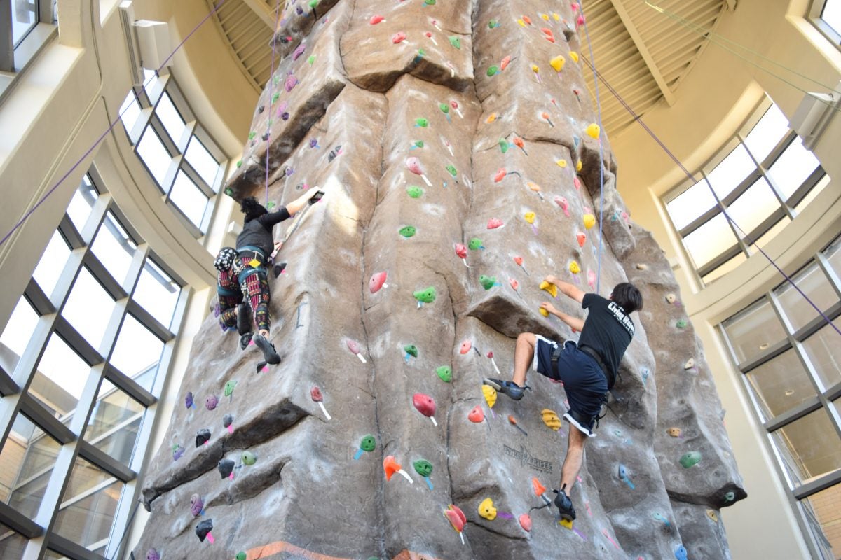 students climbing the UCF rock wall
