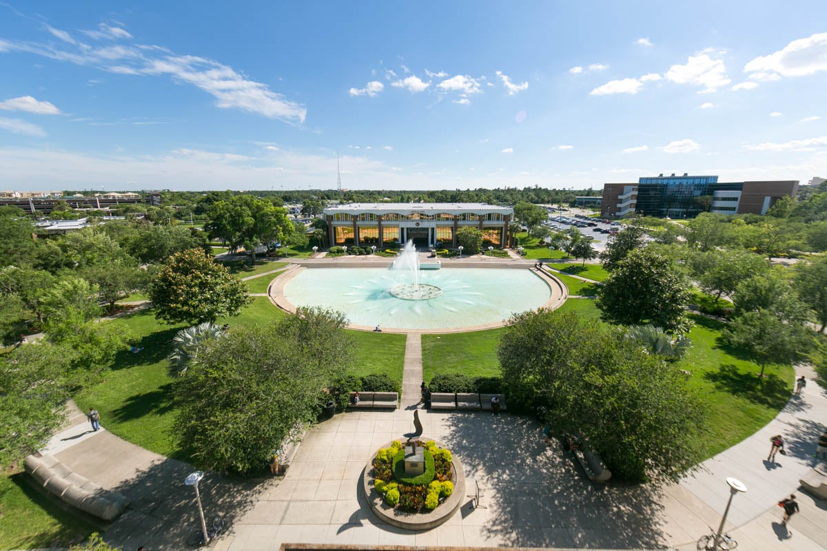 Reflecting Pond surrounded by foliage