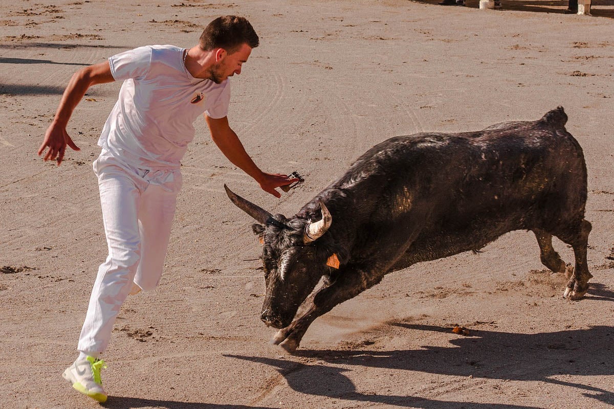Man running from a bull