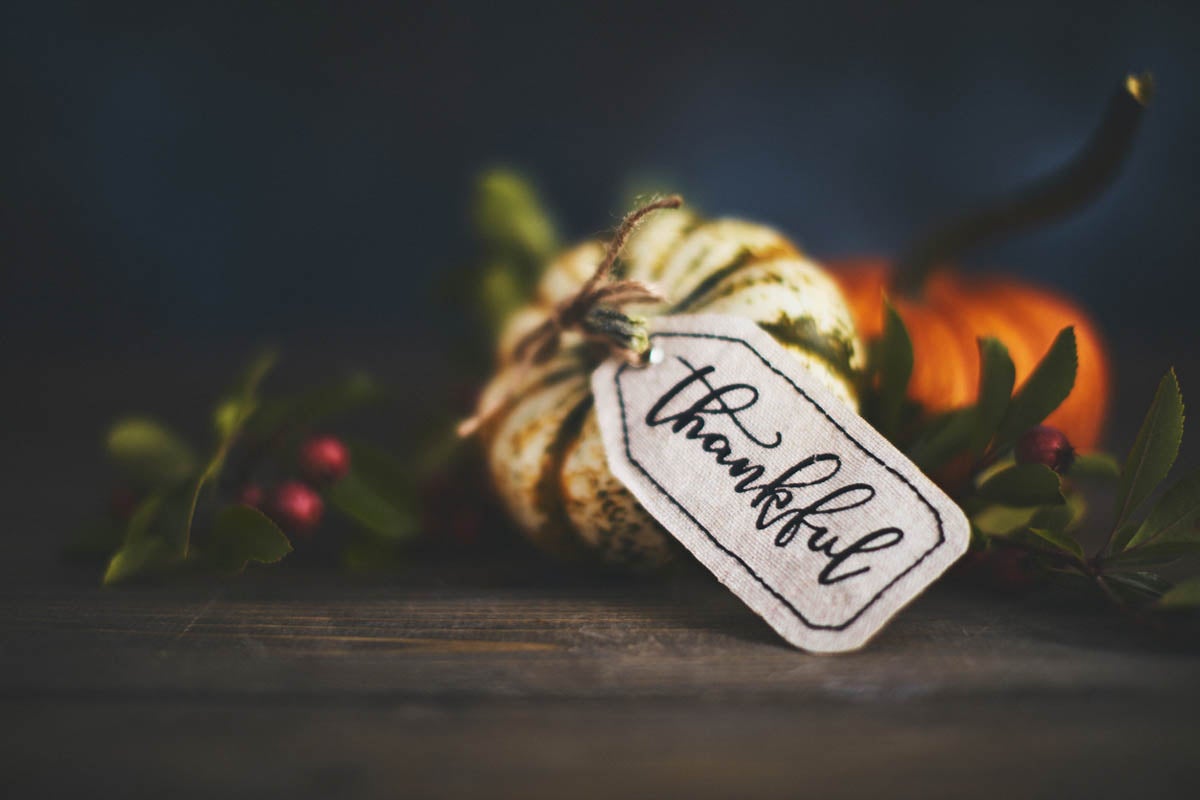Giving thanks with pumpkin assortment still life and thankful message