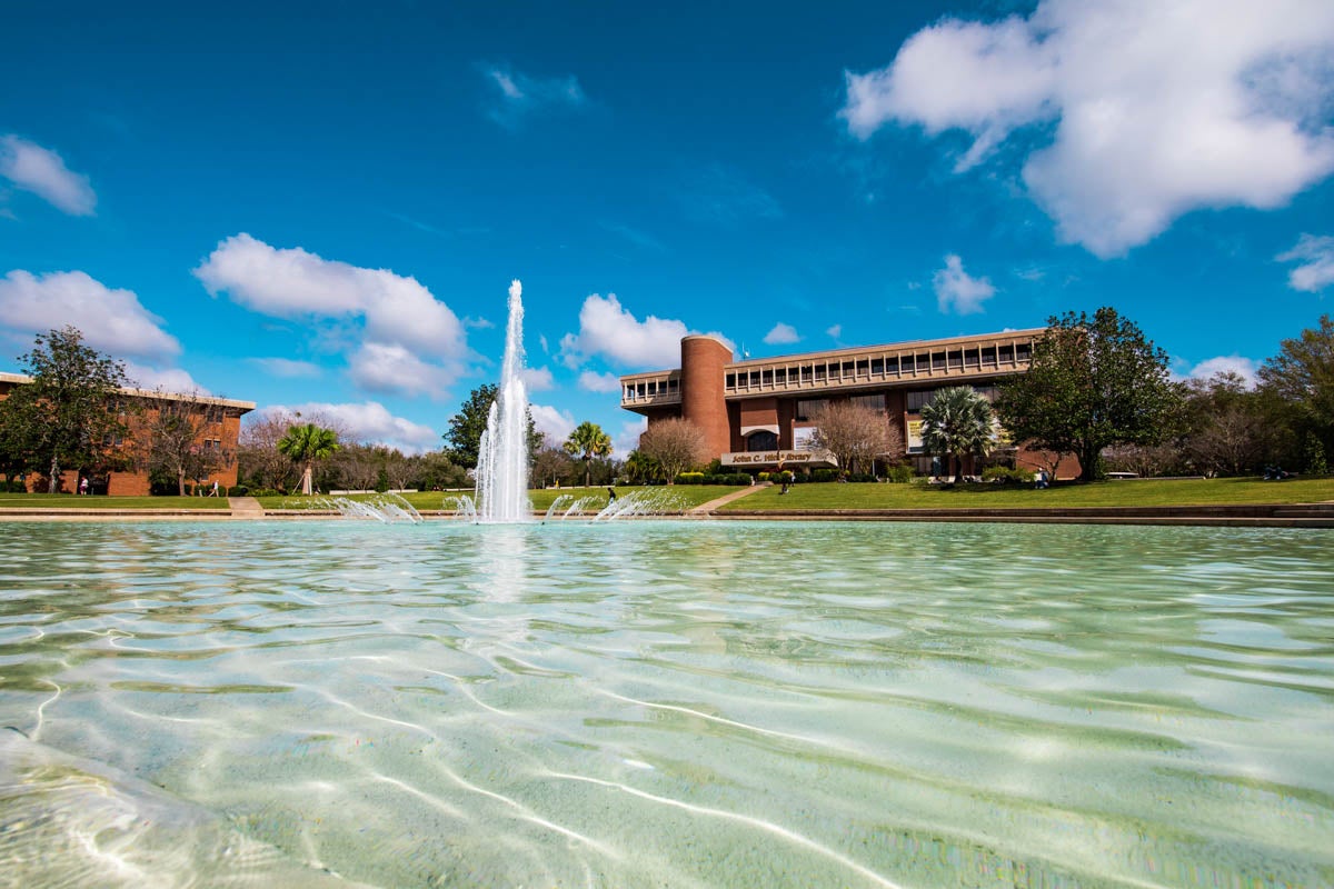 The Reflecting Pond in front of the John C. Hitt Library