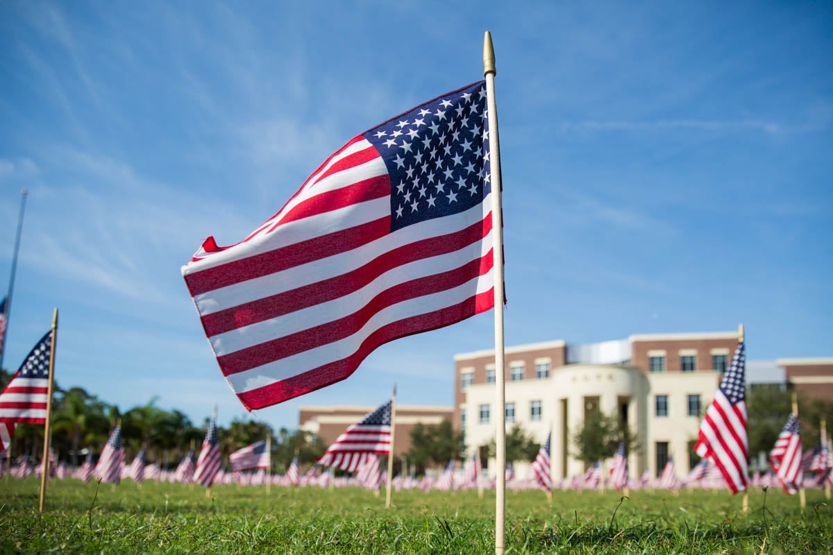 American Flags on Memory Mall