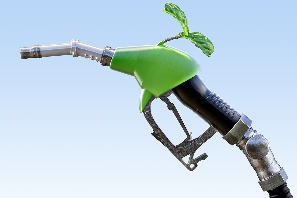 photo illustration of biofuels, a gas pump with a leaf on it