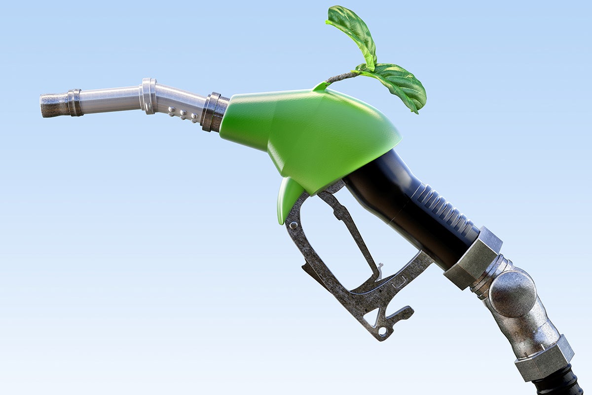 photo illustration of biofuels, a gas pump with a leaf on it