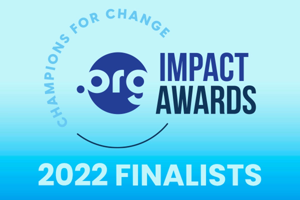 Dot Org impact awards logo