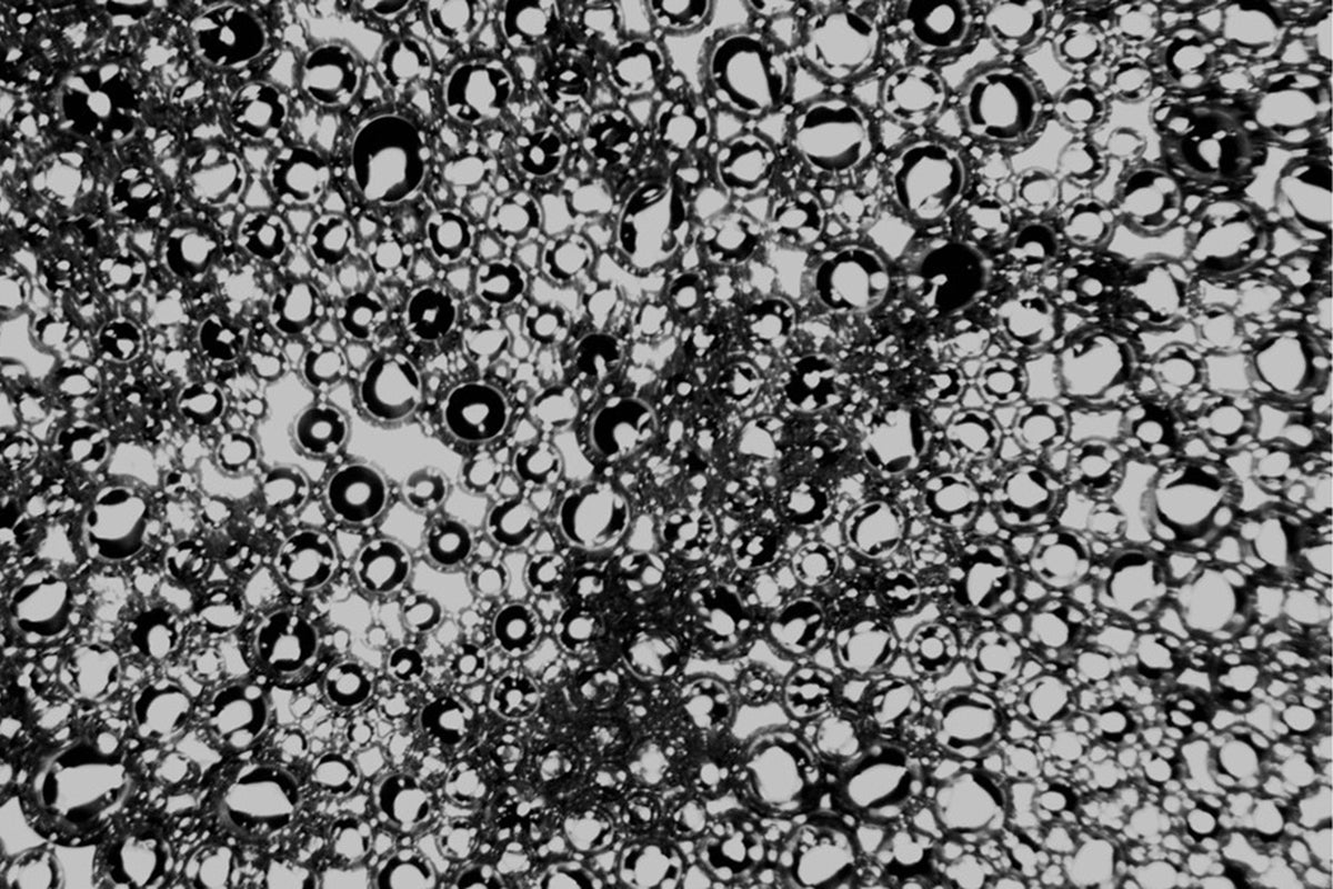 Microscopy image of nanobubbles after sonication using the UCF invention