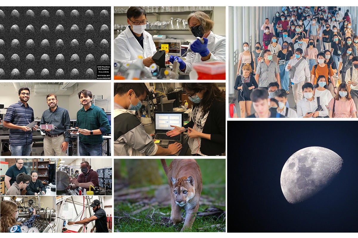 research 2022 collage