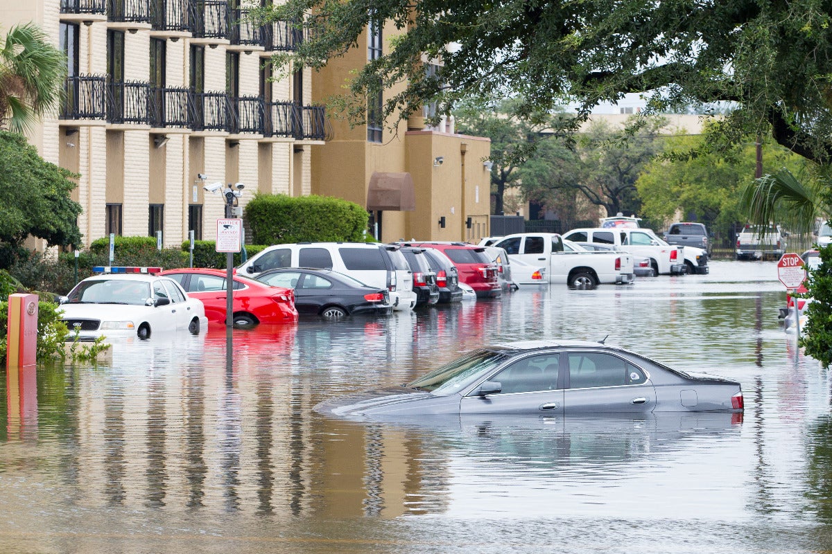 cars flooded in a parking lot