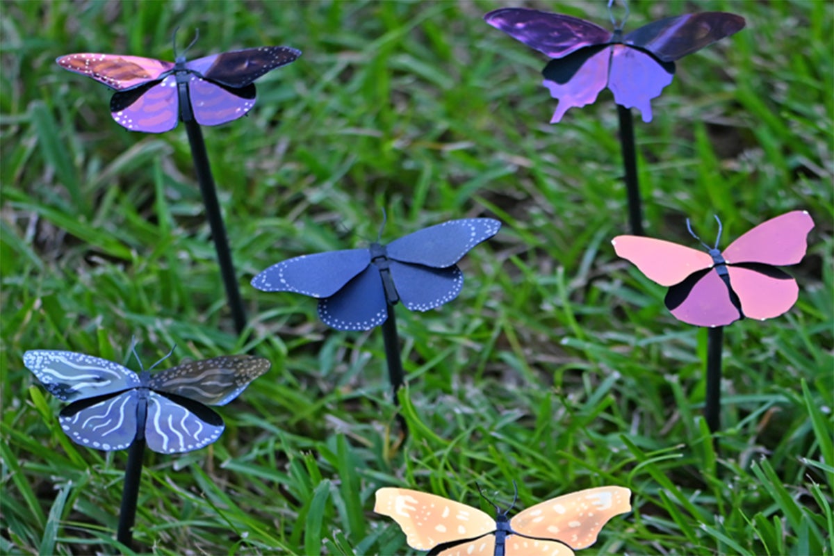 metal butterflies are displayed in a lawn and the color of their wings is created using plasmonic paint