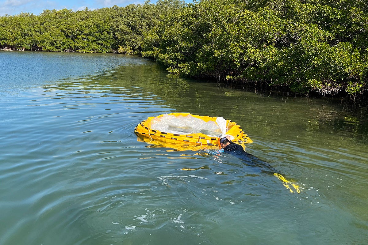 a diver is installing a test tube to study a way to combat red tide