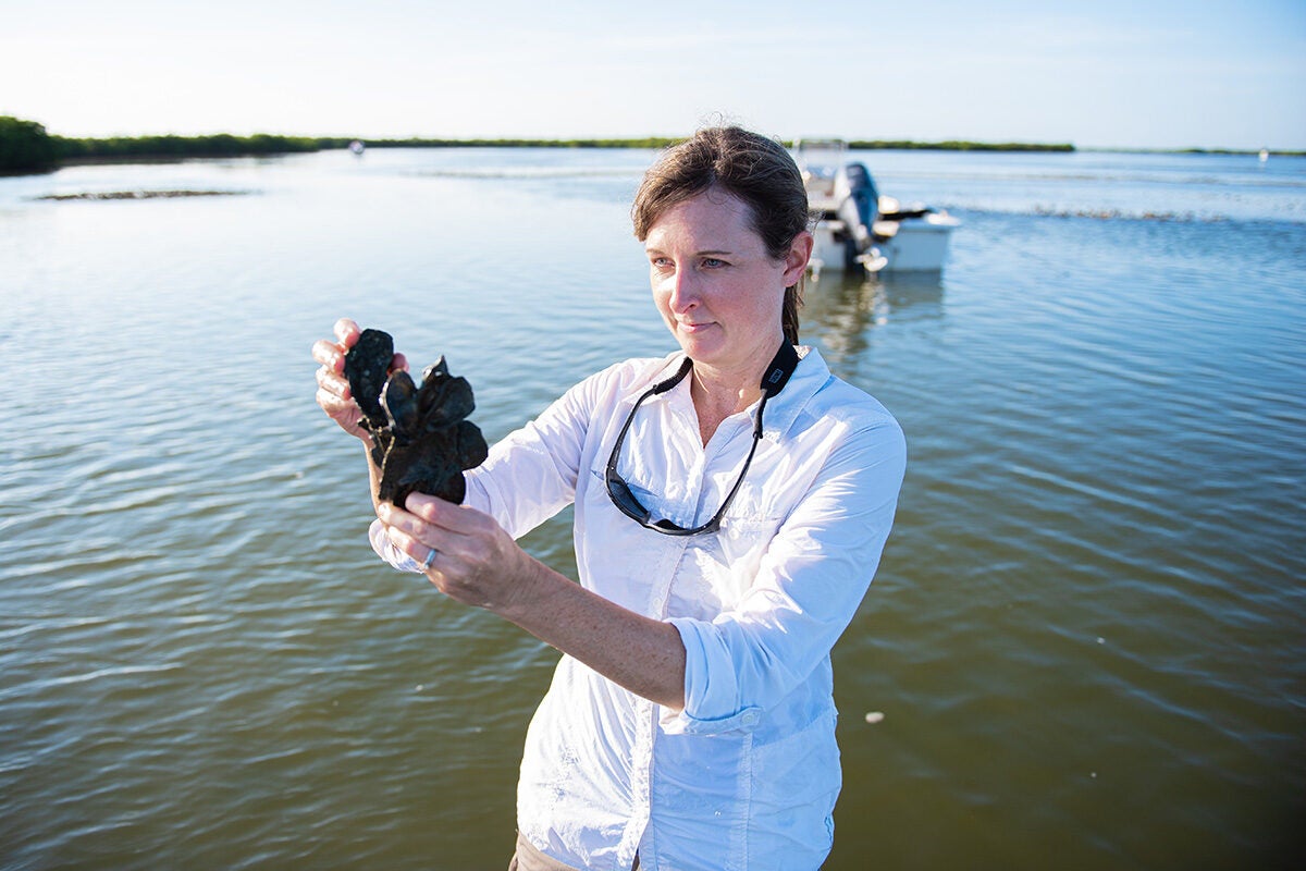 Kelly Kibler looking at an oyster