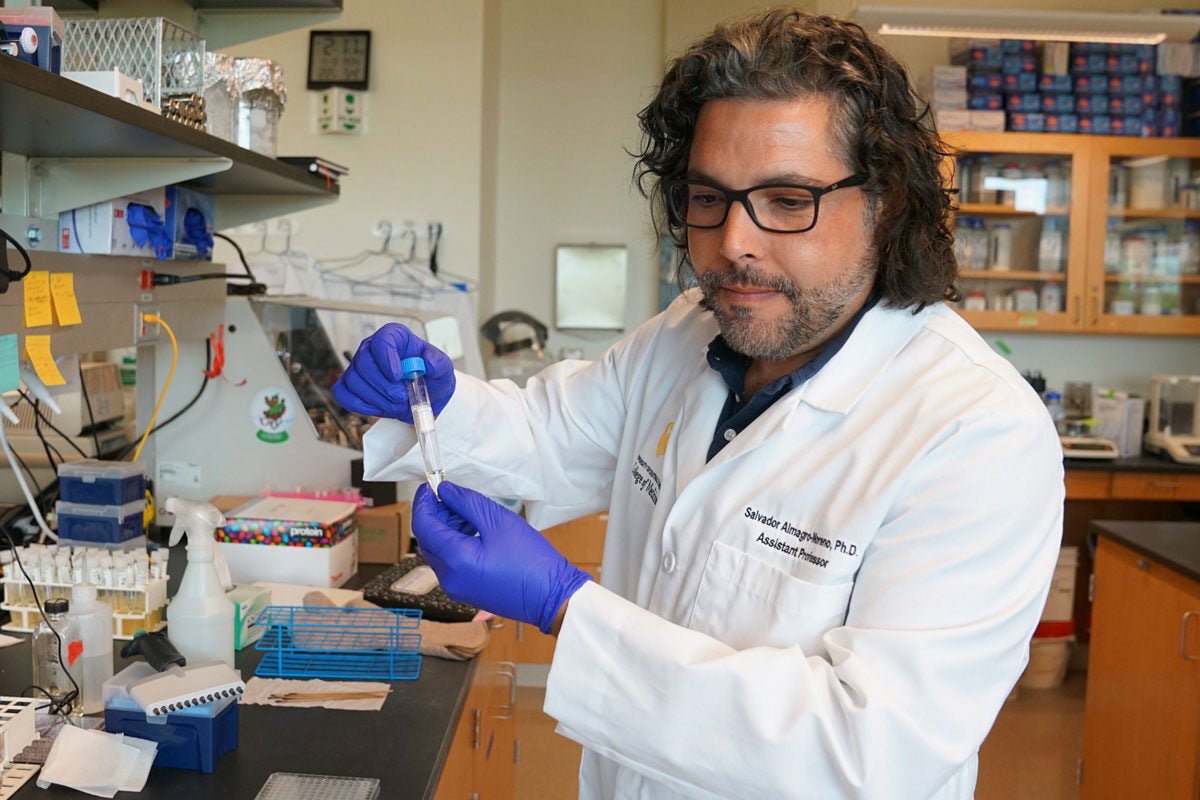 Microbiologist Salvador Almagro-Moreno working in his lab.