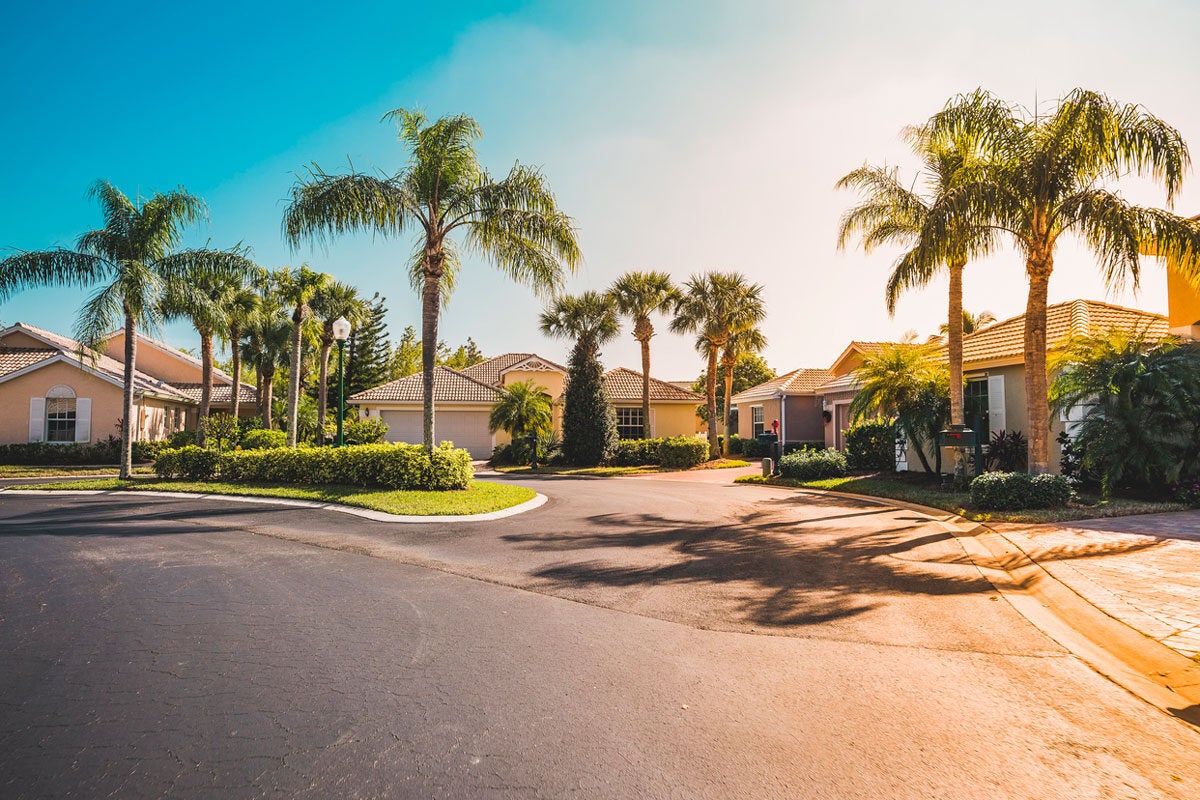 Houses with palm trees and a sunny sky