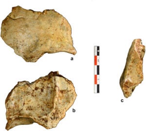 Images of a frontal part of a skull uncovered from a cave in Laos