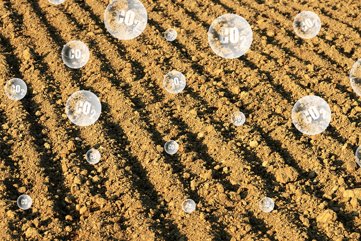 image of carbon dioxide escaping the soil