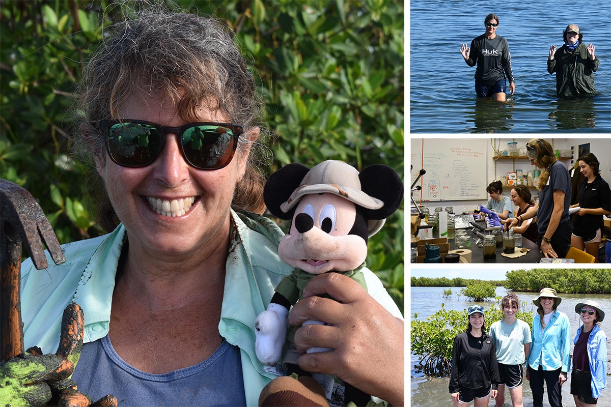 photo collage of UCF researcher Linda Walters working in coastal areas and holding a Mickey Mouse plush as well as pictures of UCF students working in coastal areas.