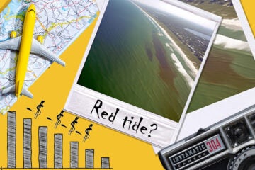 UCF Rosen College Study Reveals Economic Impact of Florida’s Red Tide