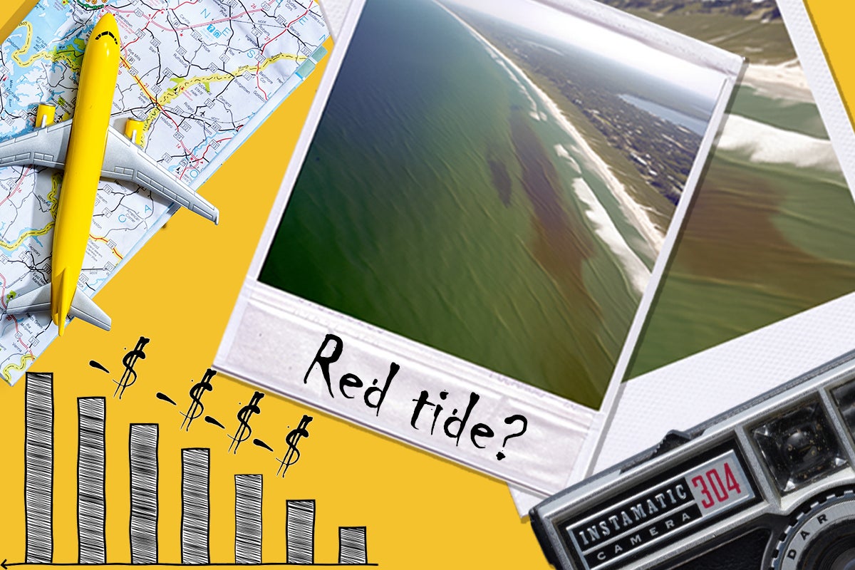 A graphic illustrating the negative impact red tide has on Florida's tourism