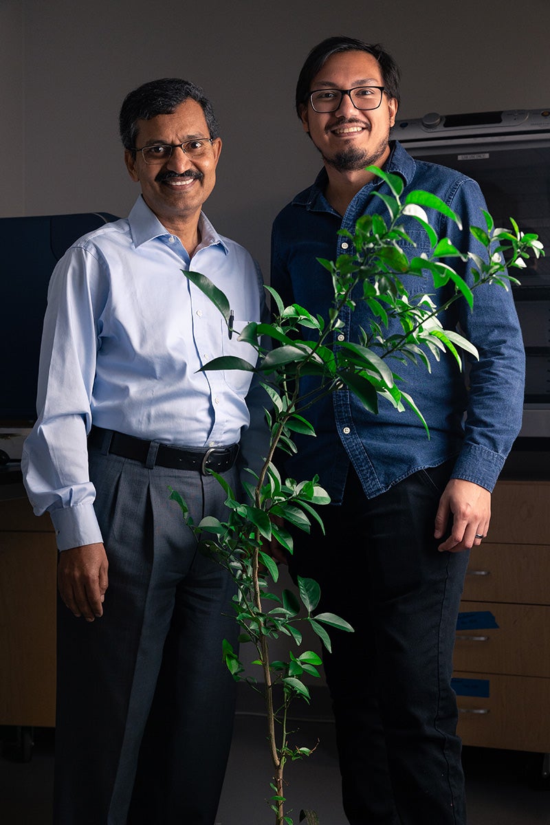 UCF Nanoscience professor Swadeshmukul Santra and chemistry doctoral student Jorge Pereira