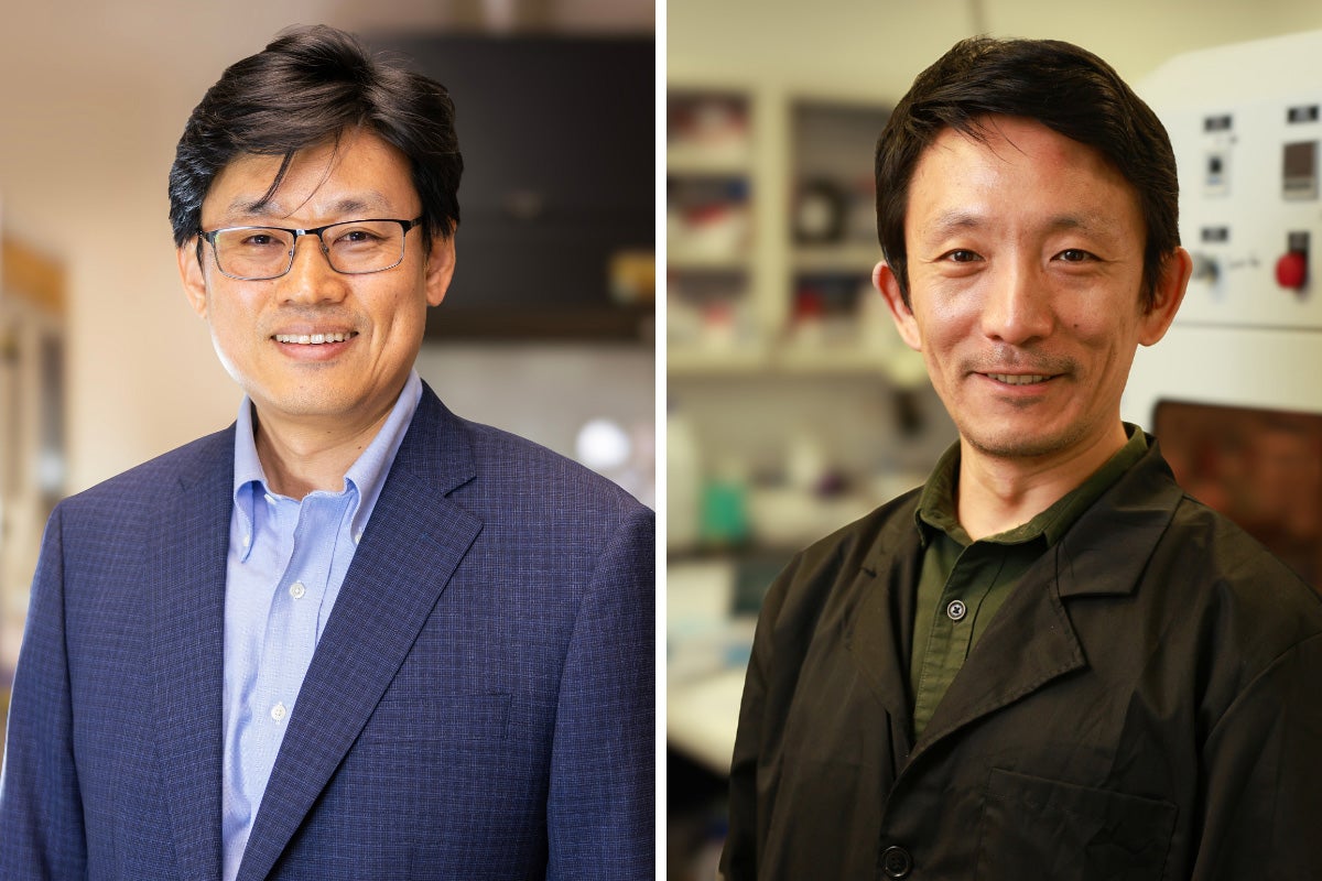 UCF researchers Woo Hyoung Lee and Yang Yang are leading a project to use gold to develop a novel method to rid drinking water of harmful algal blooms.