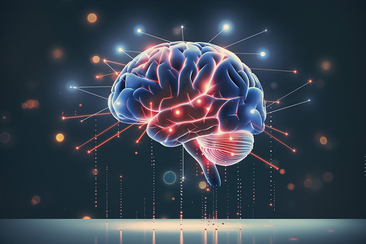 image of brain with different nodes coming off of it