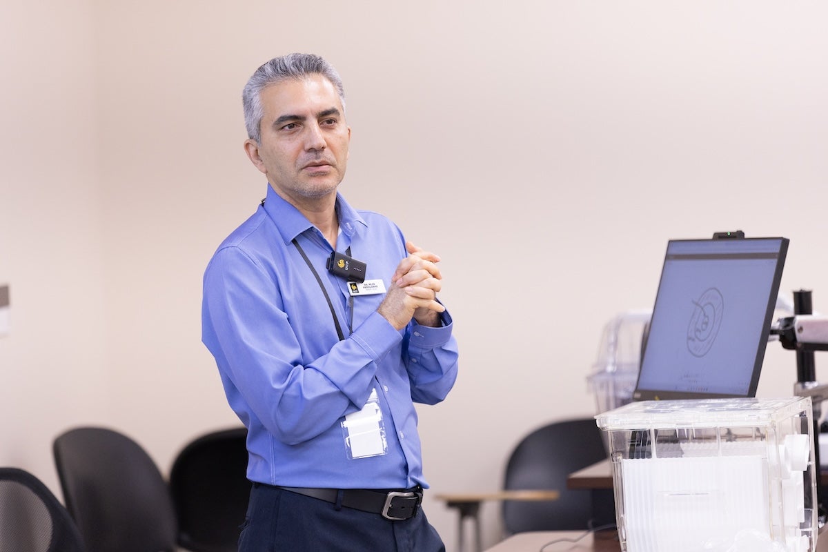 Reza Abdolvand