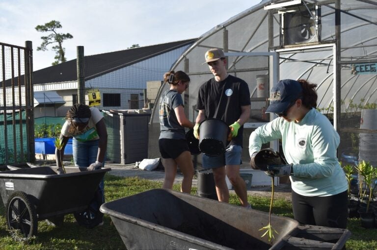 UCF Biology Researchers Win Awards From NOAA to Support Critical