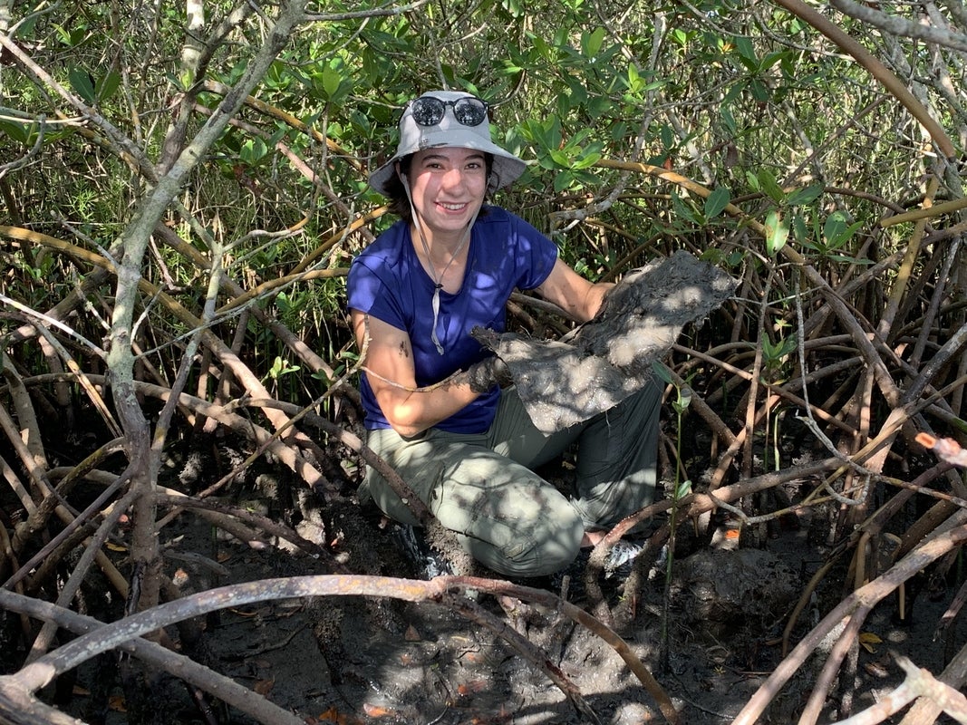 student collecting data in mangroves