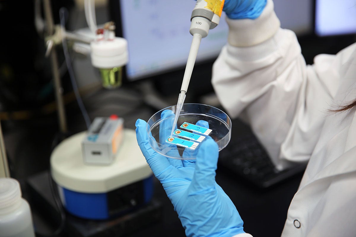 The researchers say the test will combine a serum with a liquid sample and apply it to the biosensor to quantify the virus at the RNA level.