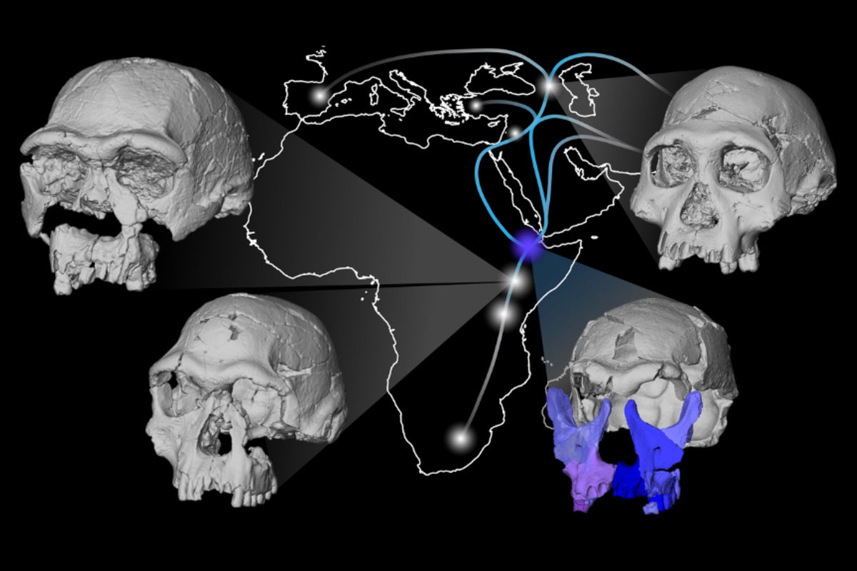 Map illustrating possible migration paths of Homo erectus across Africa.