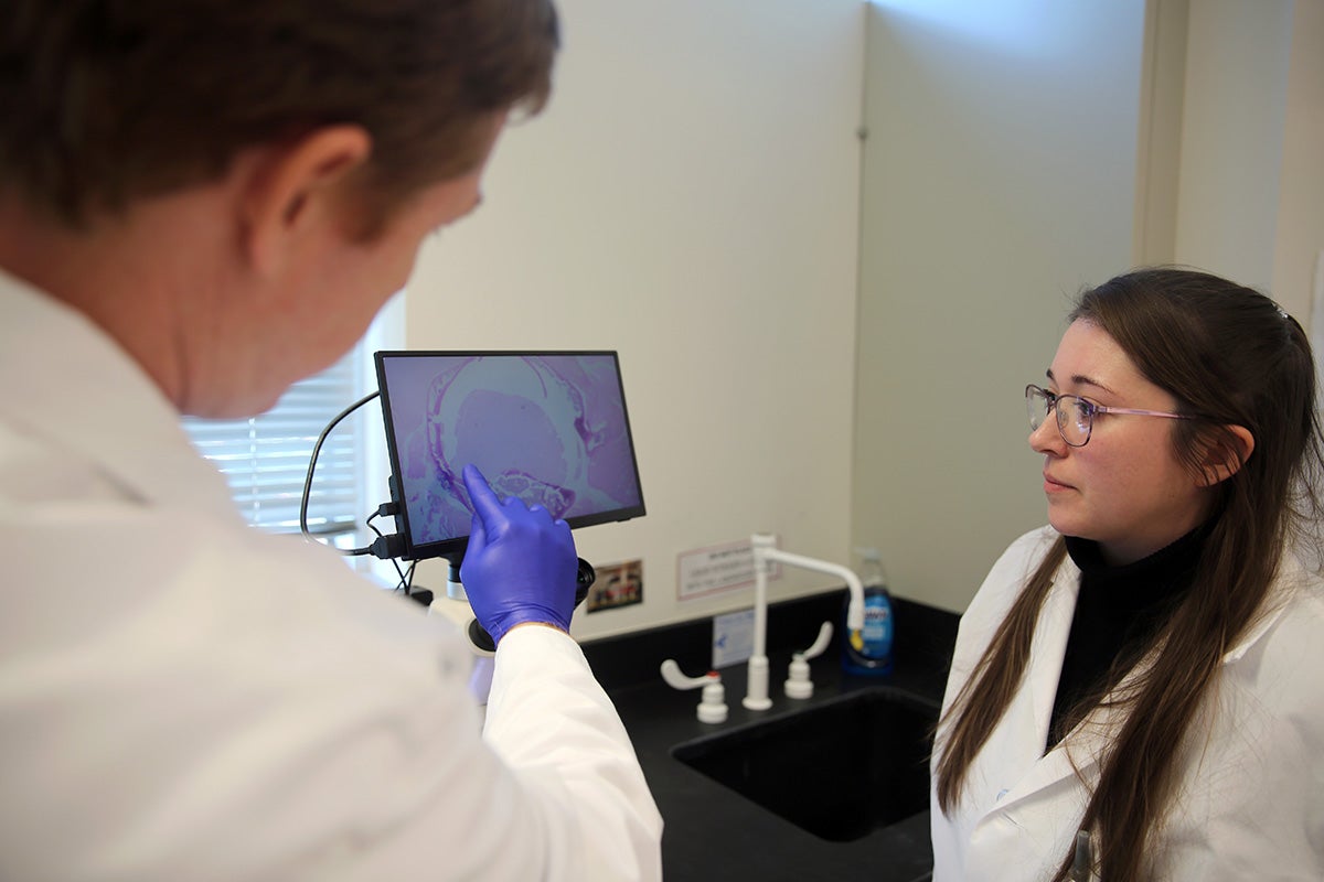 Man points to a screen with medical imaging on it as young woman in lab coat observes